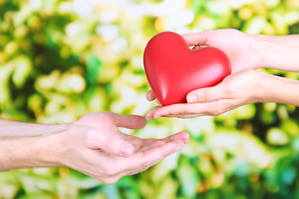 Работа за «спасибо».